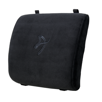 AZ-LUMBAR2-BV-01